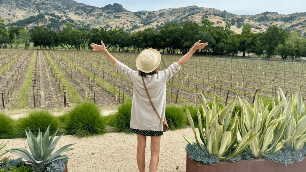 Livermore Valley vineyards in what to pack on a wine country day trip